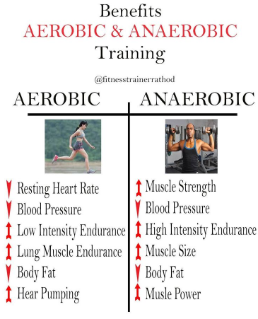 anaerobic exercise