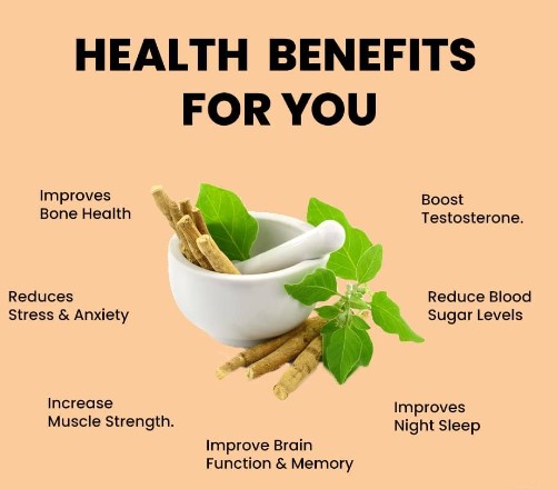 ashwagandha benefits for men