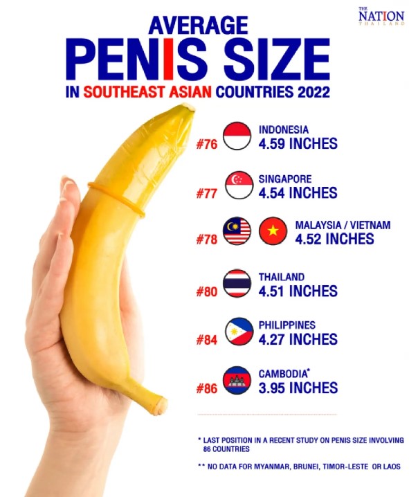 average penis size