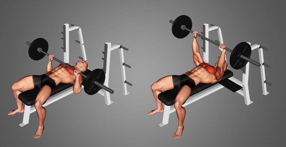 bench press