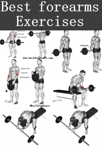 best forearm workouts