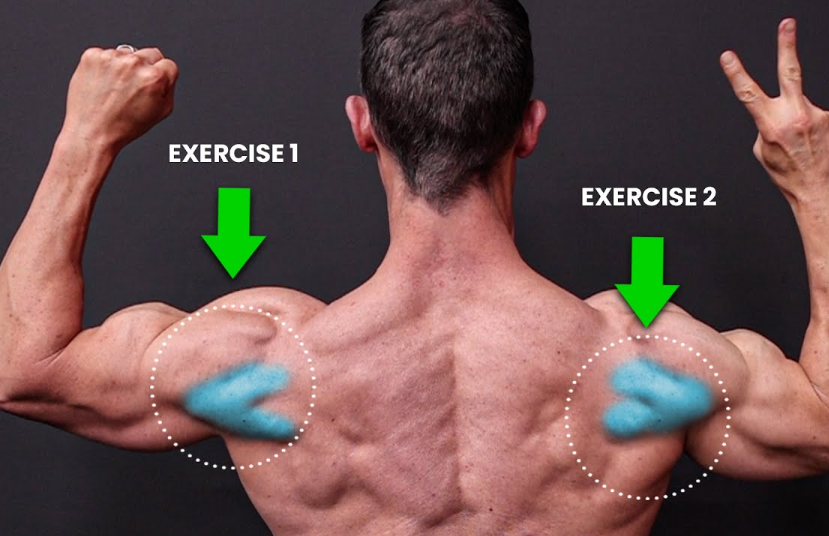 best rear delt exercises