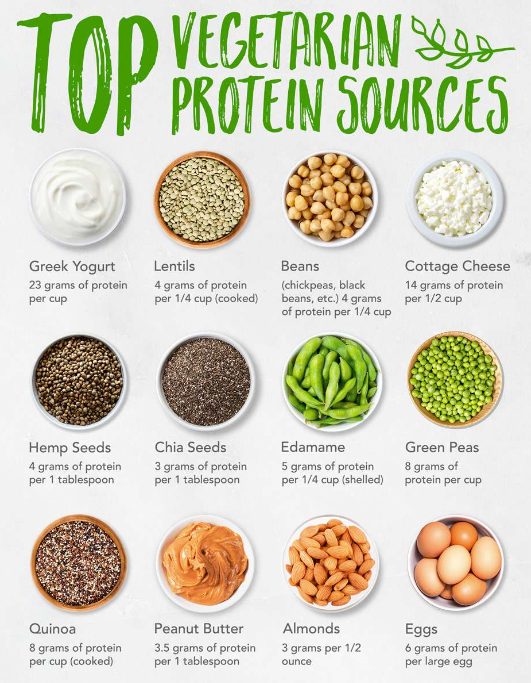 best sources of protein