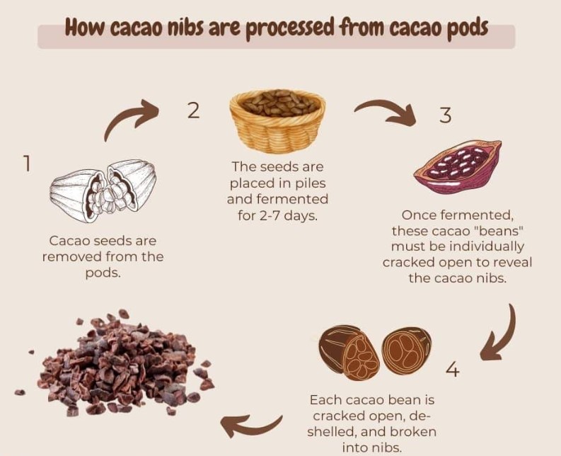 cacao nibs