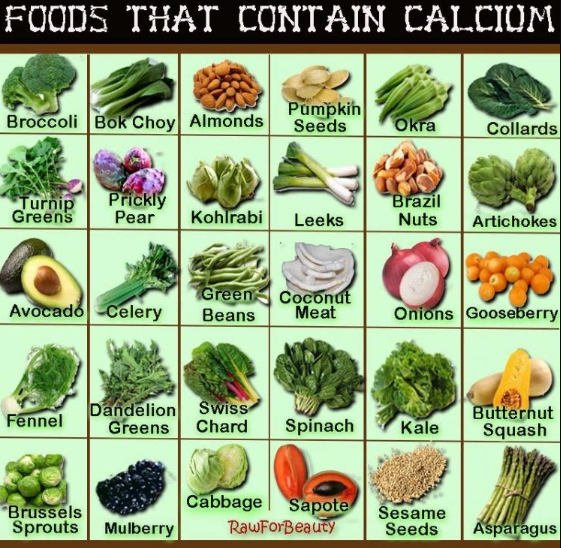 calcium rich foods