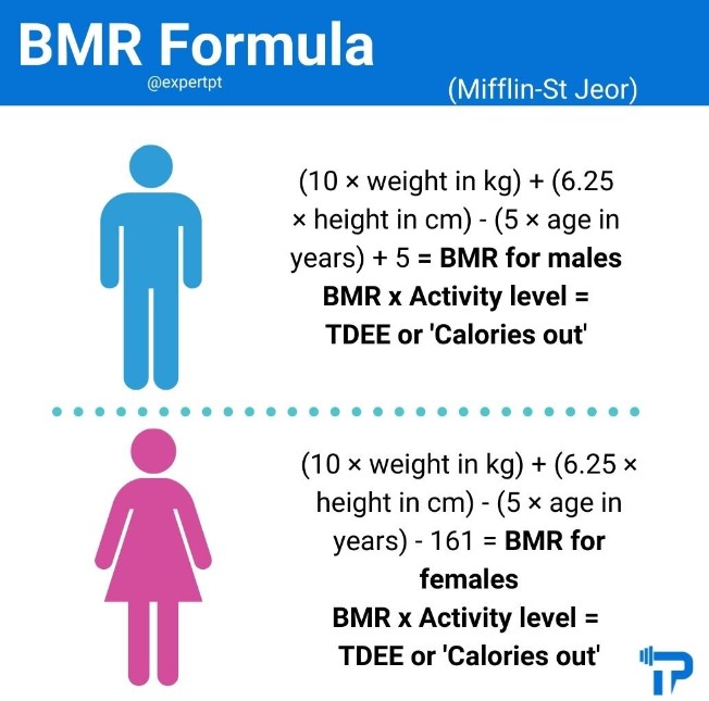 calorie calculator