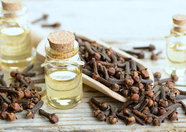 clove oil