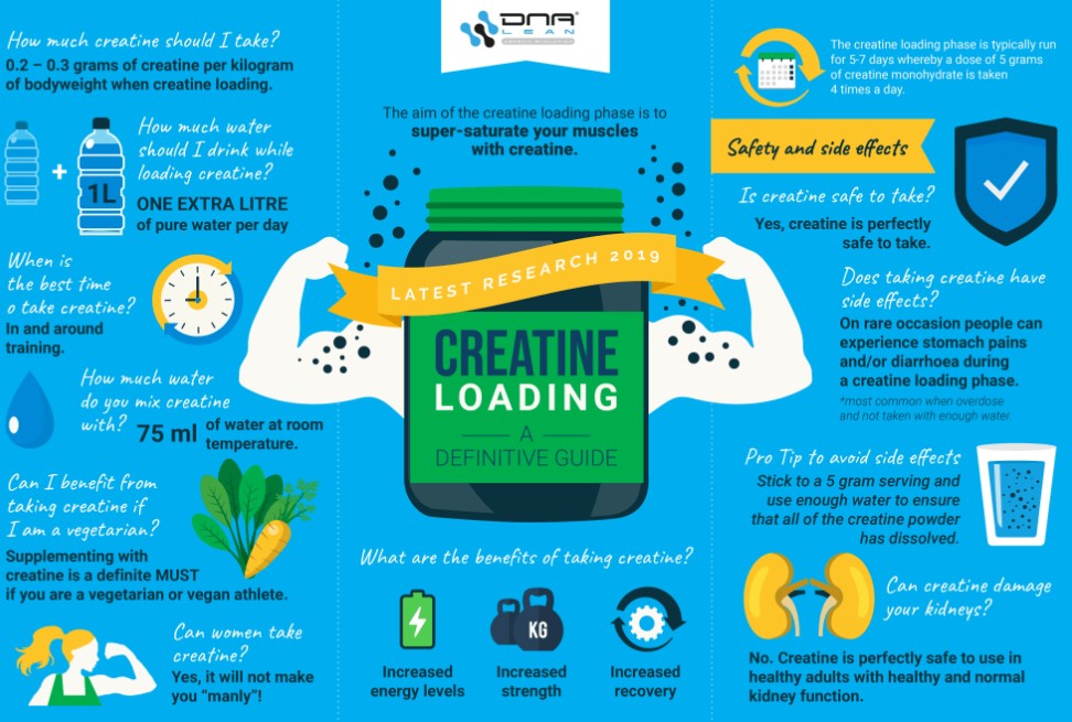 creatine loading phase