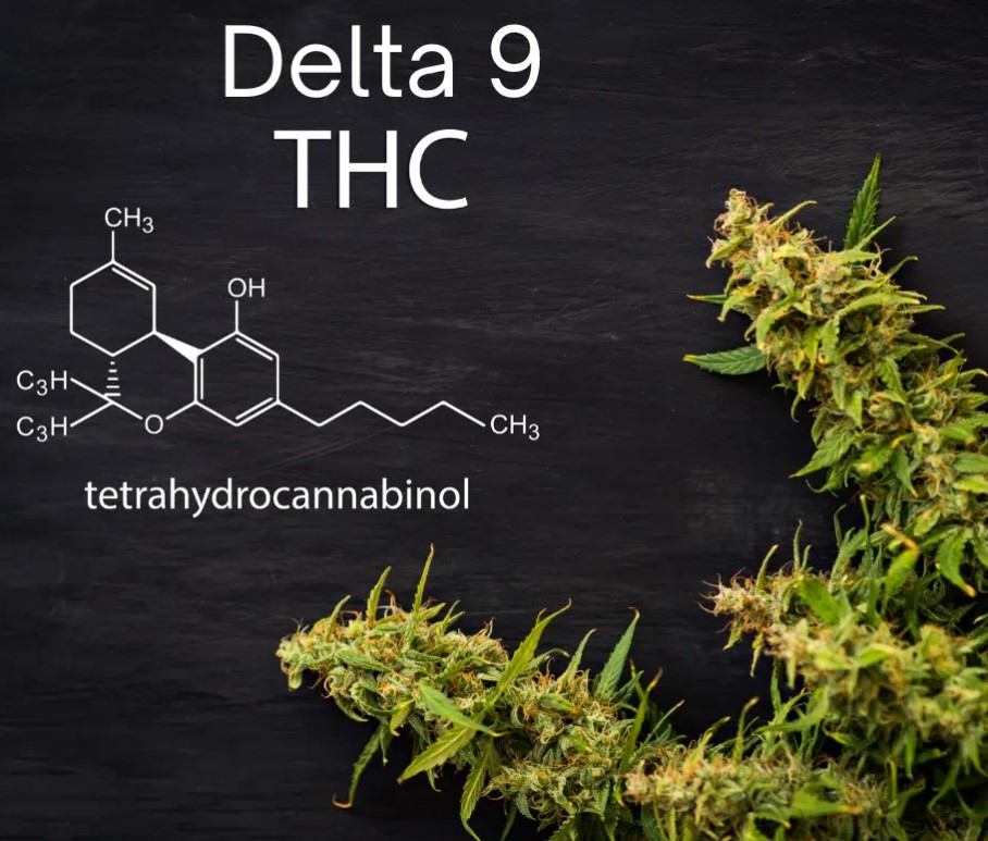 delta 9 thc