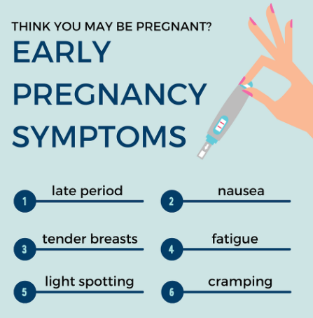 early pregnancy symptoms