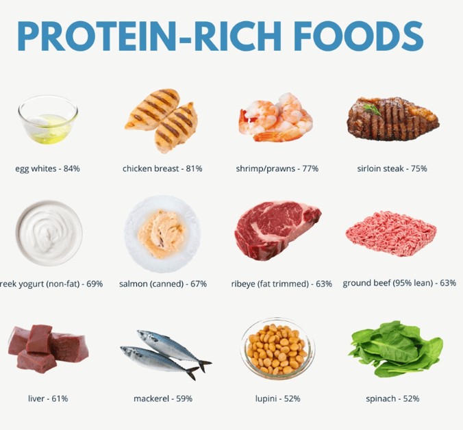 foods high in protein