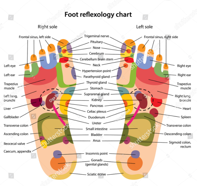 foot reflexology