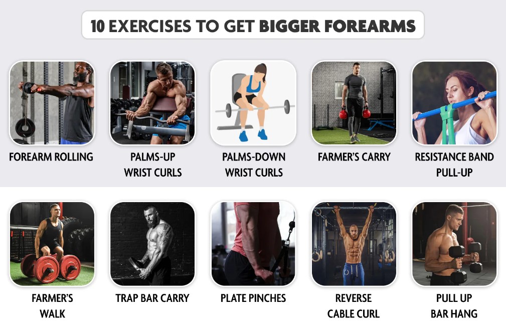 forearm exercises