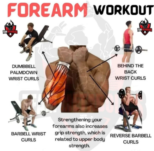 forearm workout