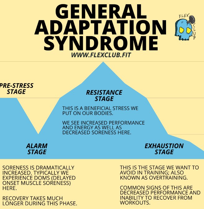 general adaptation syndrome