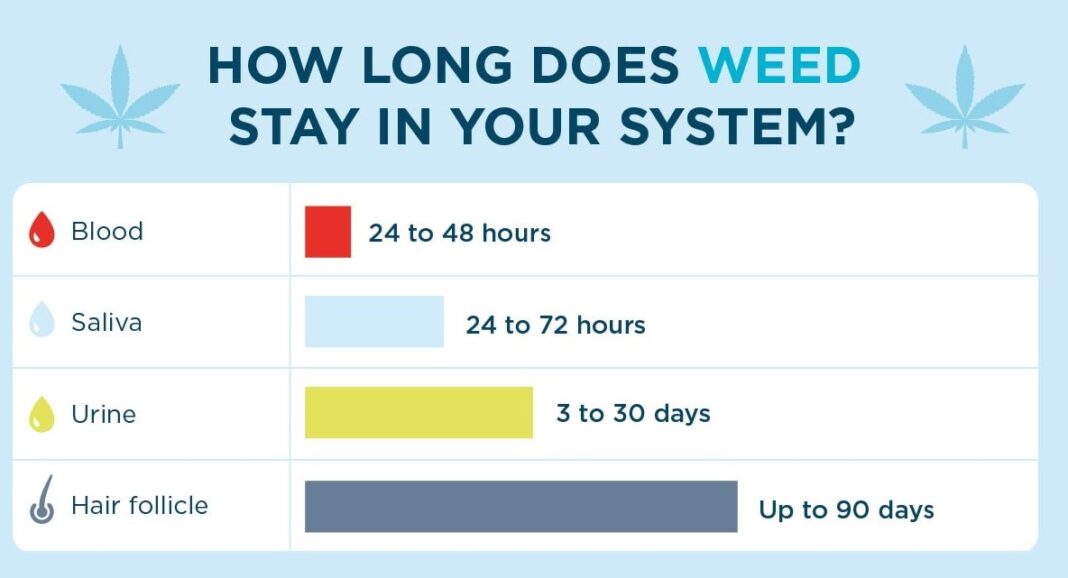 how long does weed stay in system after quitting