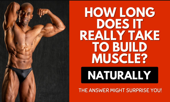 how to build muscle