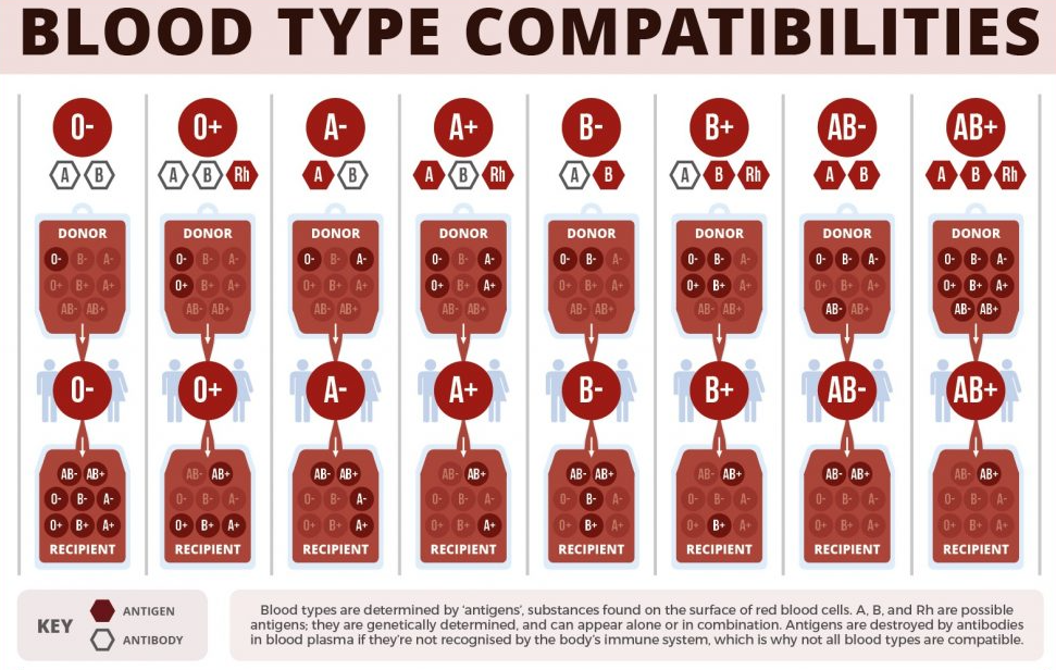 how to find out your blood type