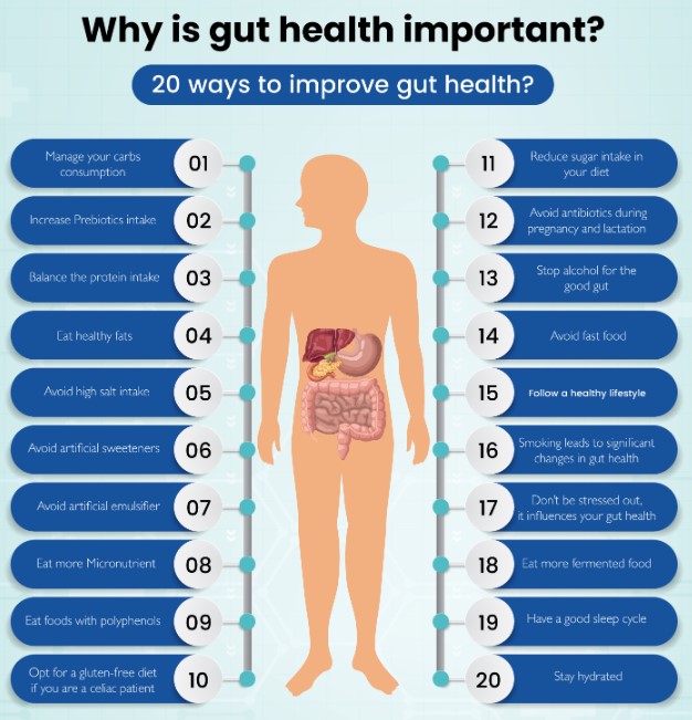 how to improve gut health