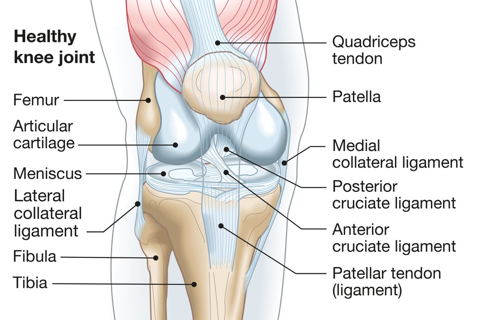 knee pain location chart