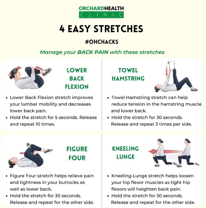 lower back stretches