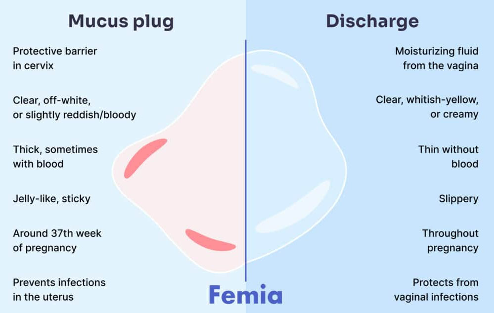 mucus plug