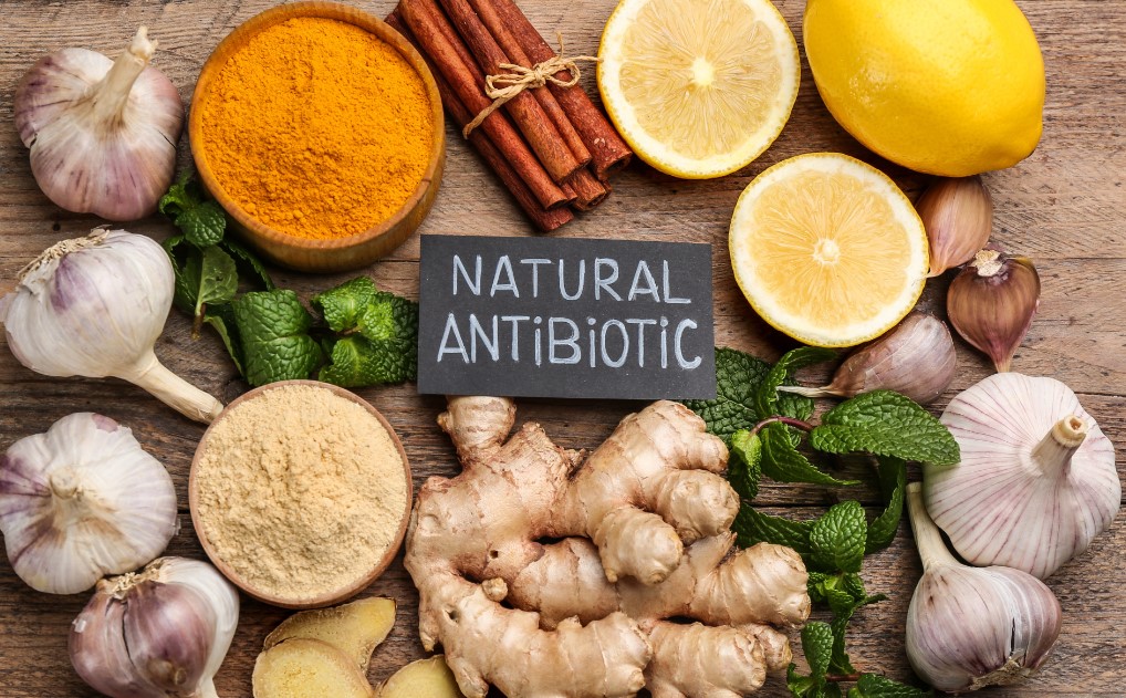 natural antibiotics