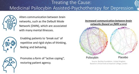 psychedelic therapy