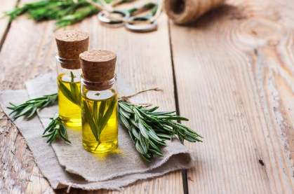 rosemary oil