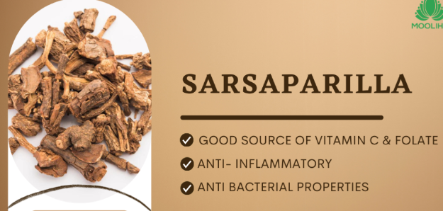 sarsaparilla root