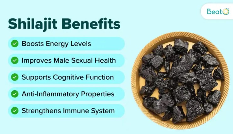 shilajit benefits