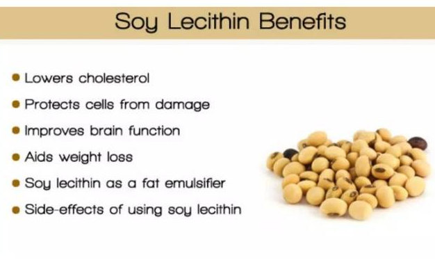 soy lecithin