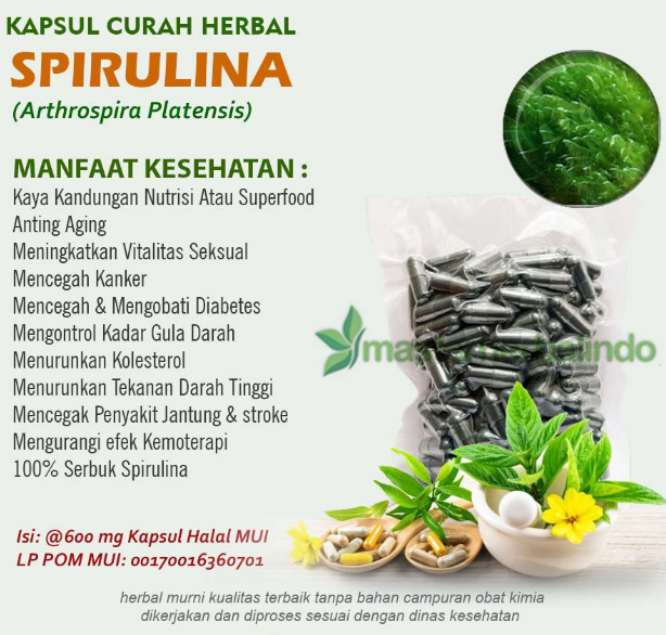 spirulina