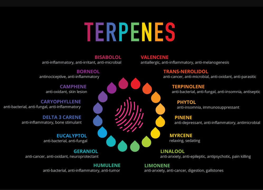 terpenes