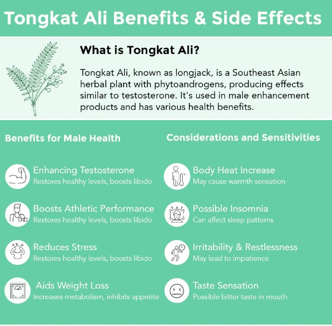 tongkat ali side effects