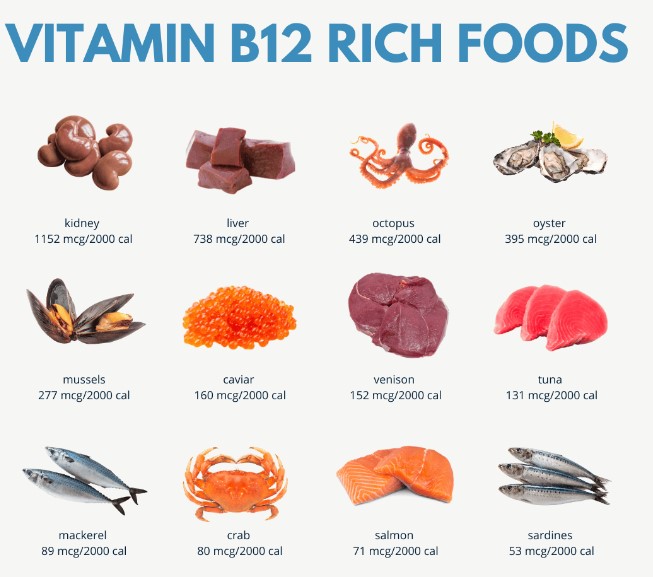 vitamin b12 foods