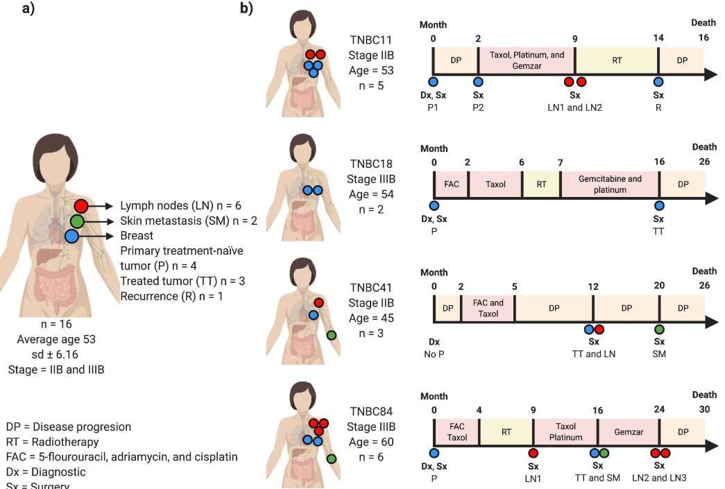 what is tnbc of the skin