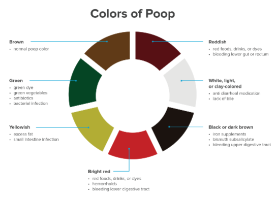 why is my poop green