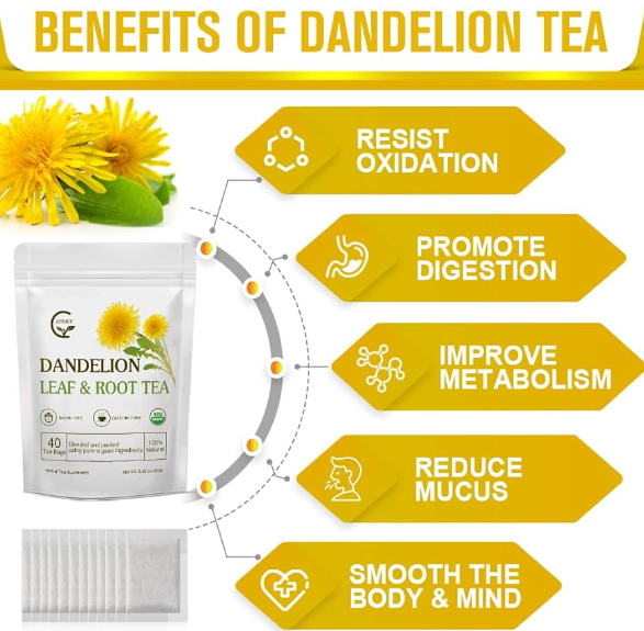 dandelion root benefits