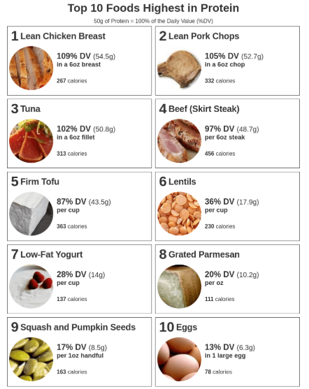 highest protein foods