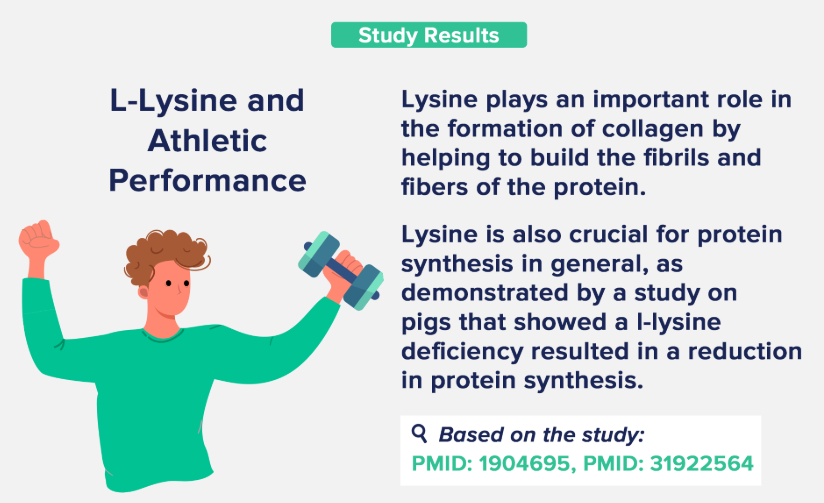 l-lysine weight loss