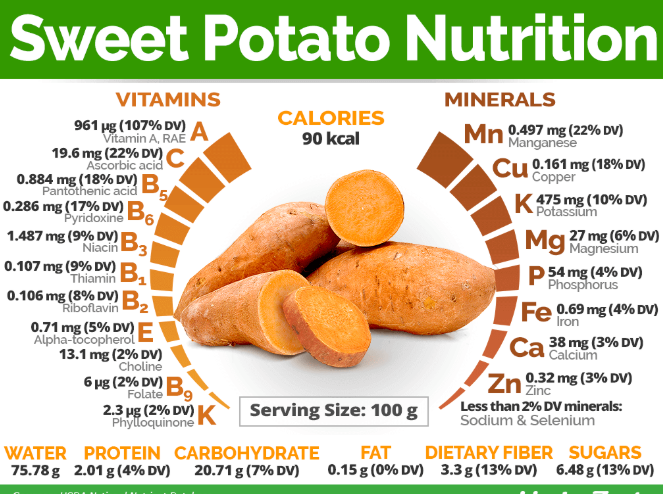 sweet potato nutrition