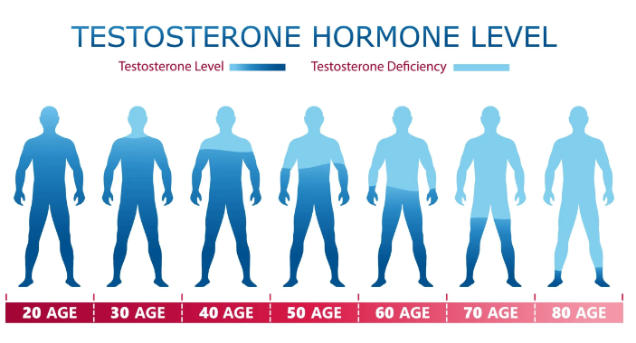 testosterone levels by age chart