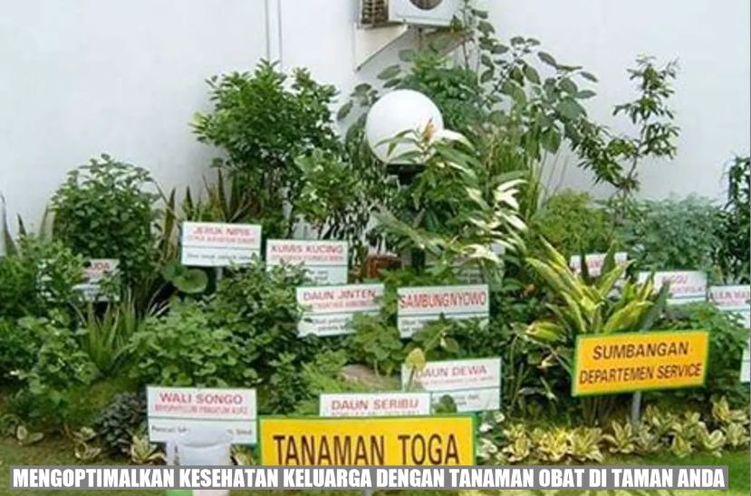 Kebun Tanaman Obat Keluarga